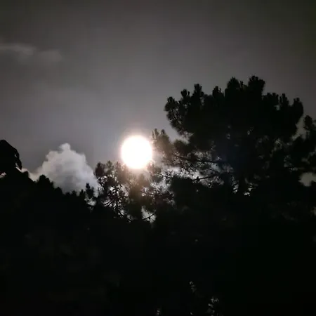 Raggio Di Sole, Oasi Di Felicita * Monsagrati