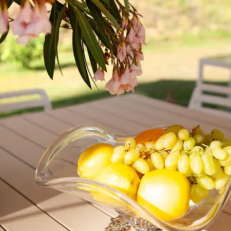 Raggio Di Sole, Oasi Di Felicita Tatil Evi Monsagrati